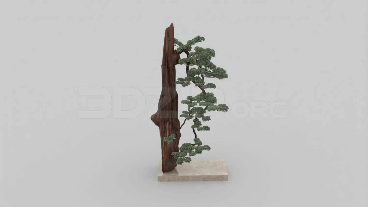 Bonsai