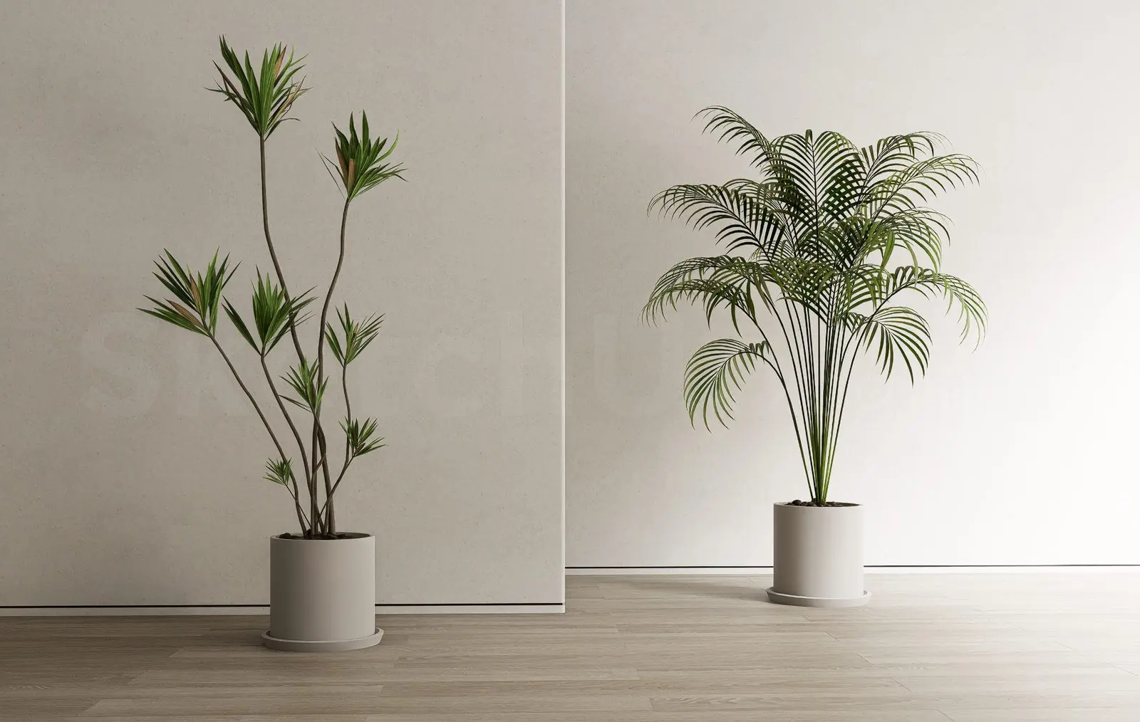 Plant — preview 1 (cgtips)