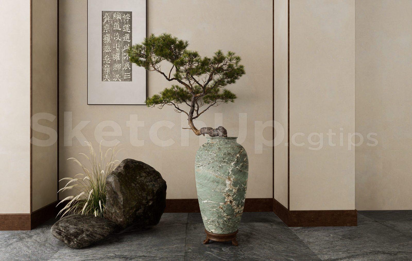 BonSai Tree