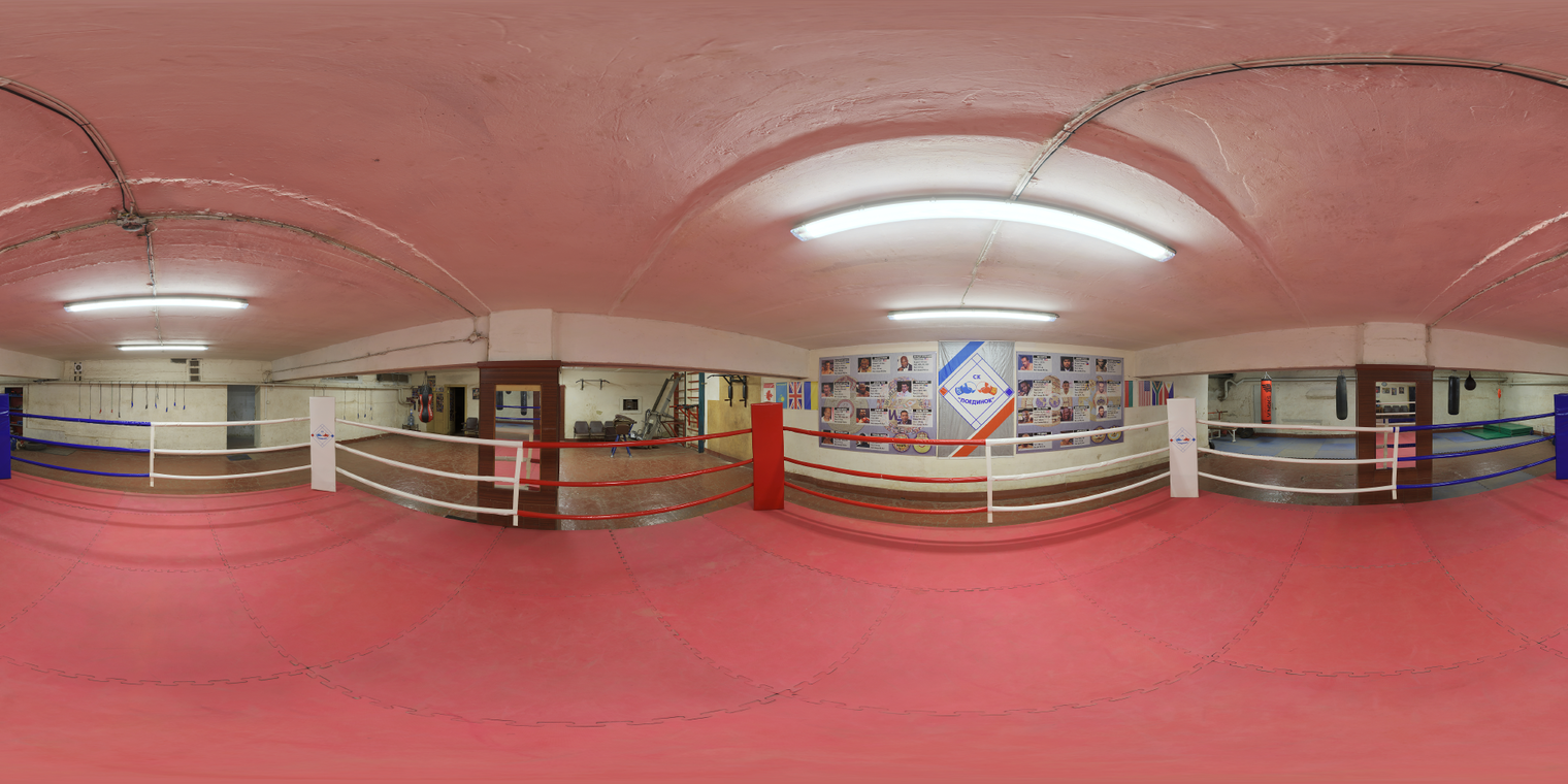 Basement Boxing Ring