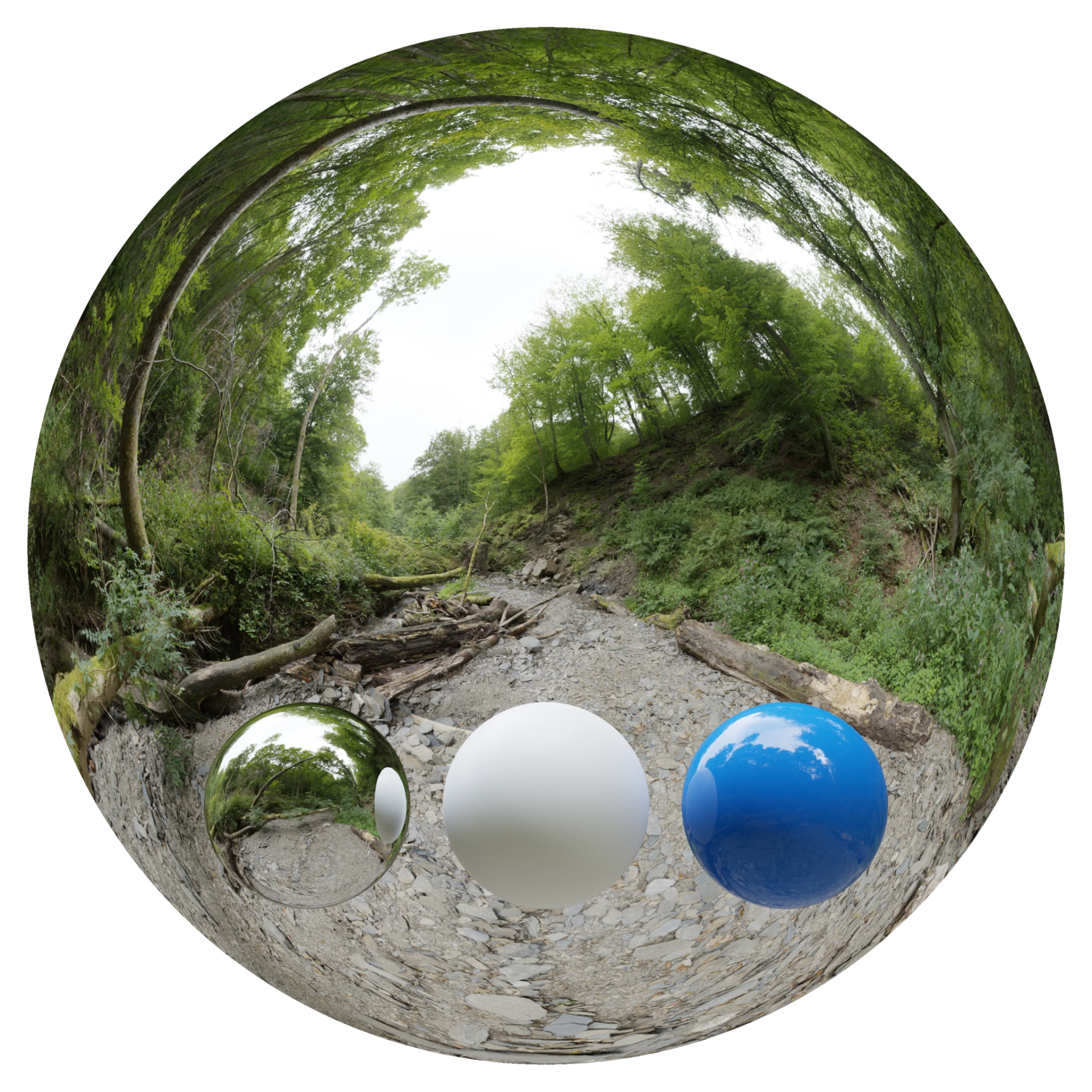Day Environment HDRI 001