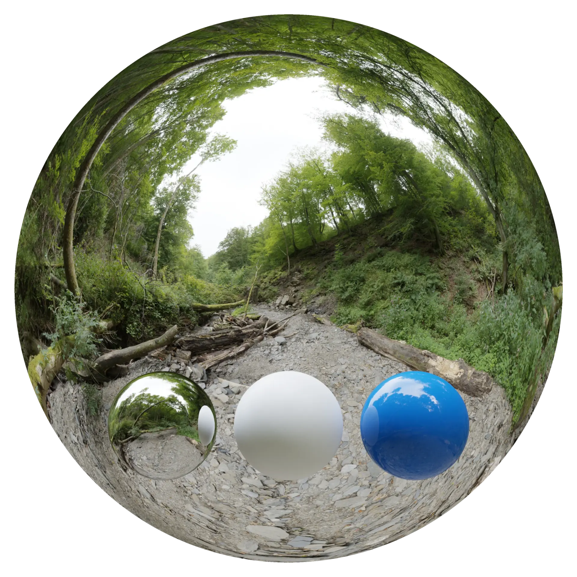 Day Environment HDRI 001 — preview 1 (ambientCG, CC0)