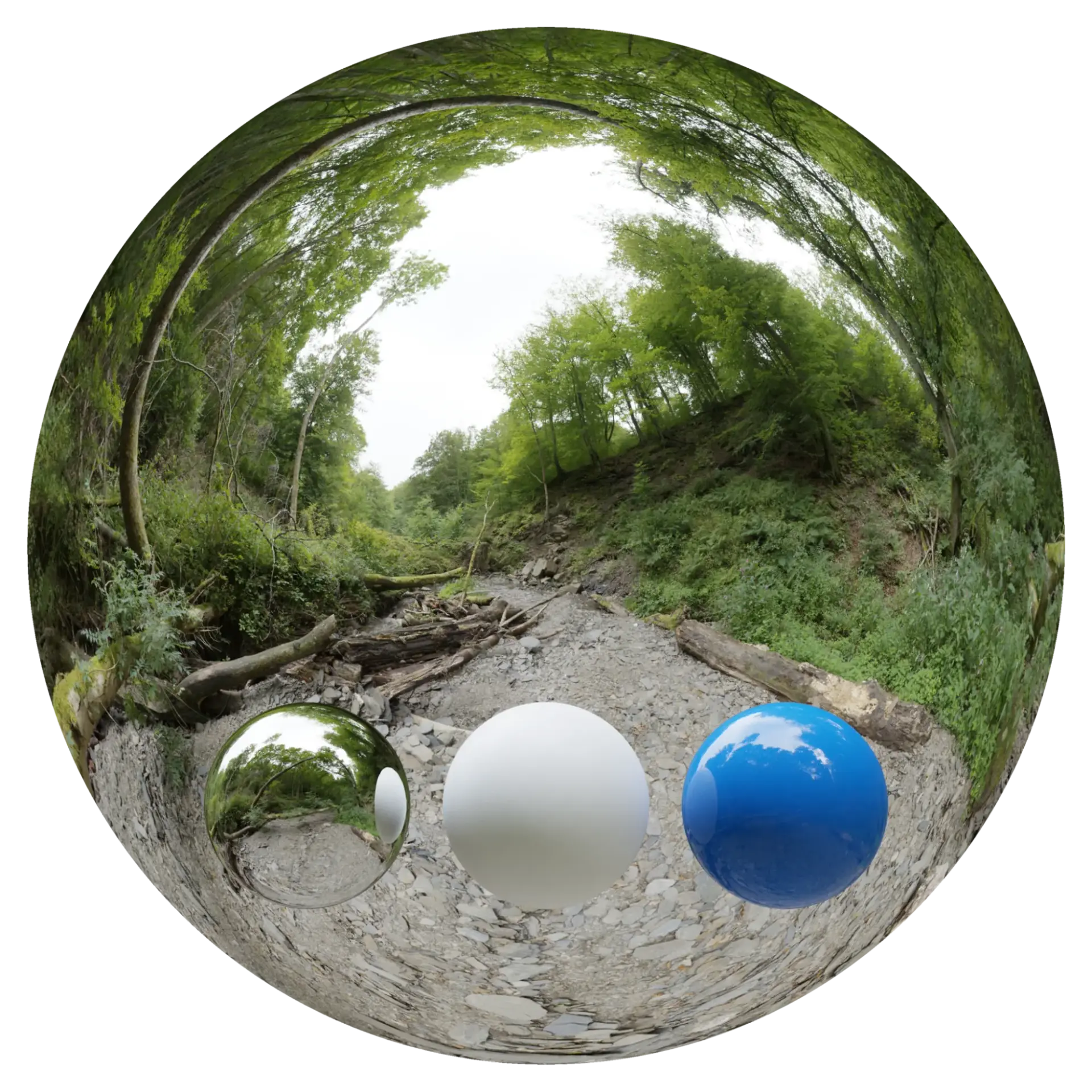 Day Environment HDRI 001