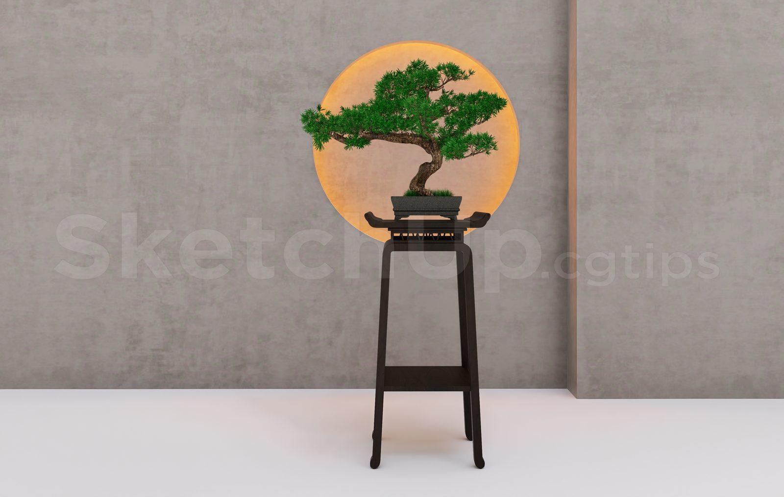 BonSai Tree
