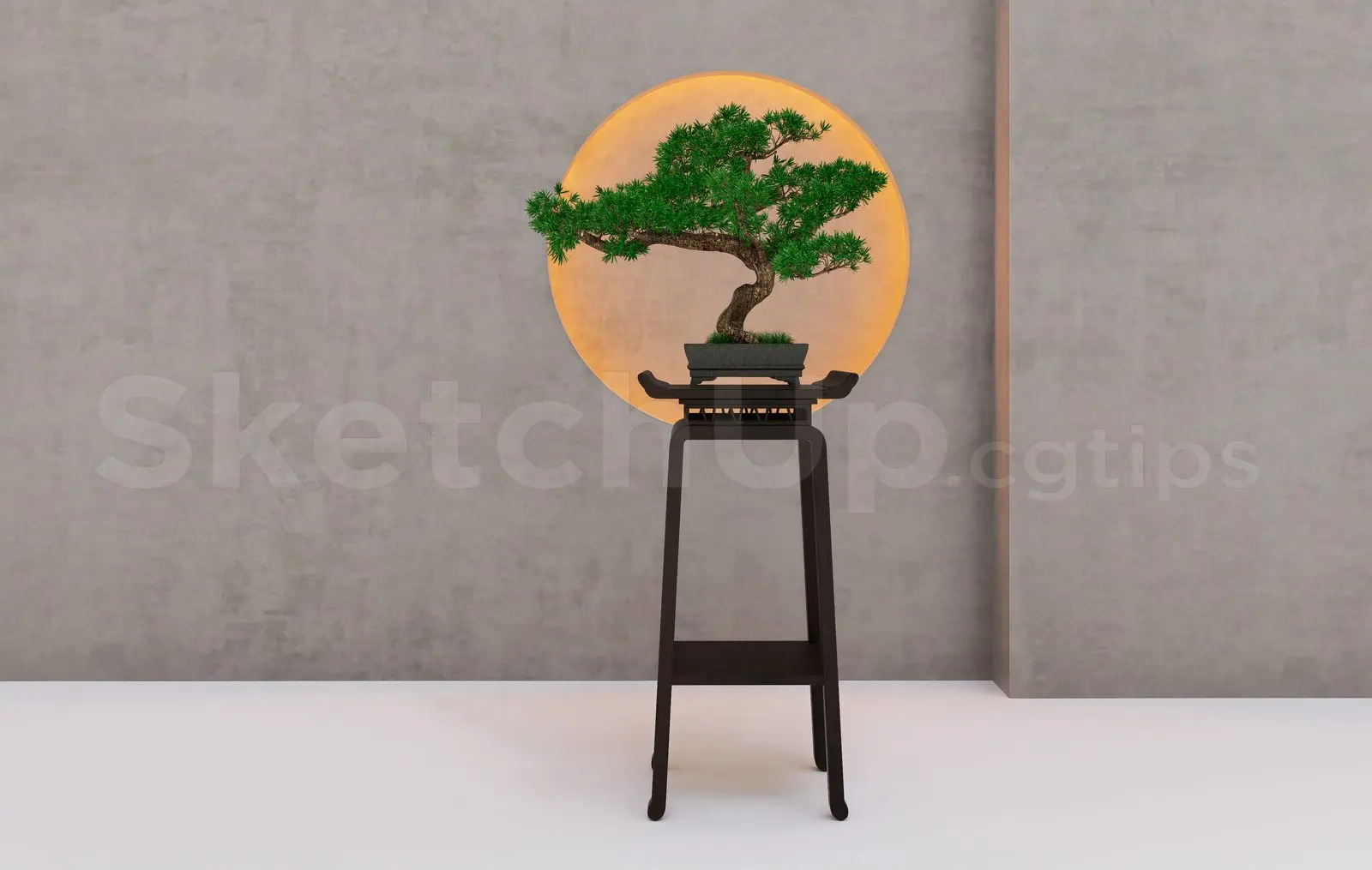 BonSai Tree