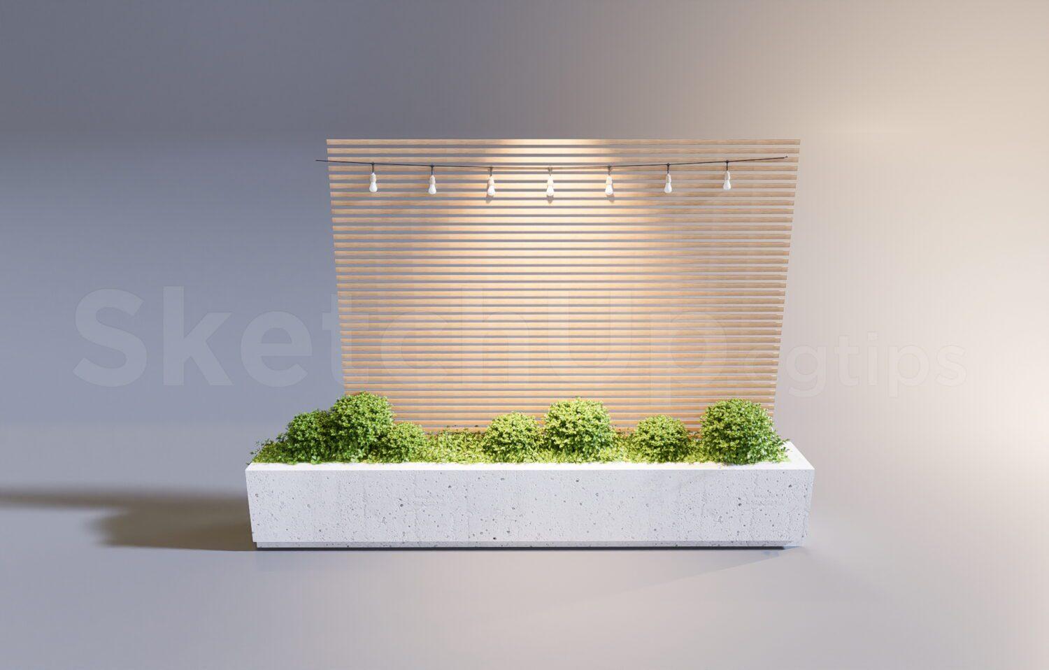 Plant