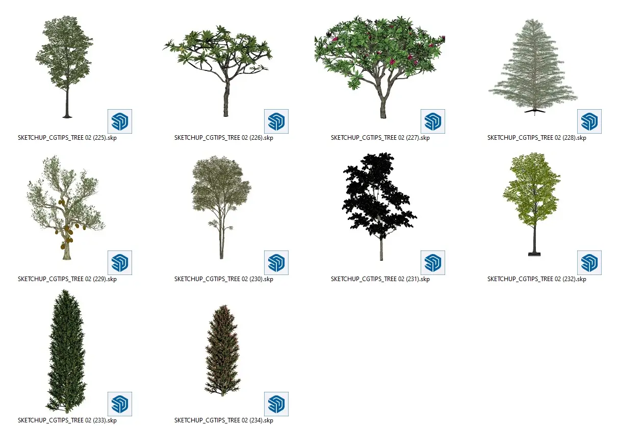 Trees