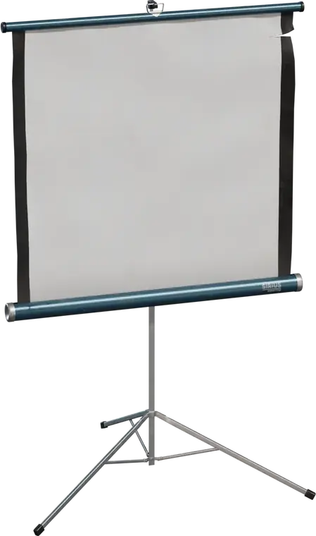 Projector Screen