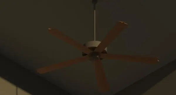 Wooden Fan