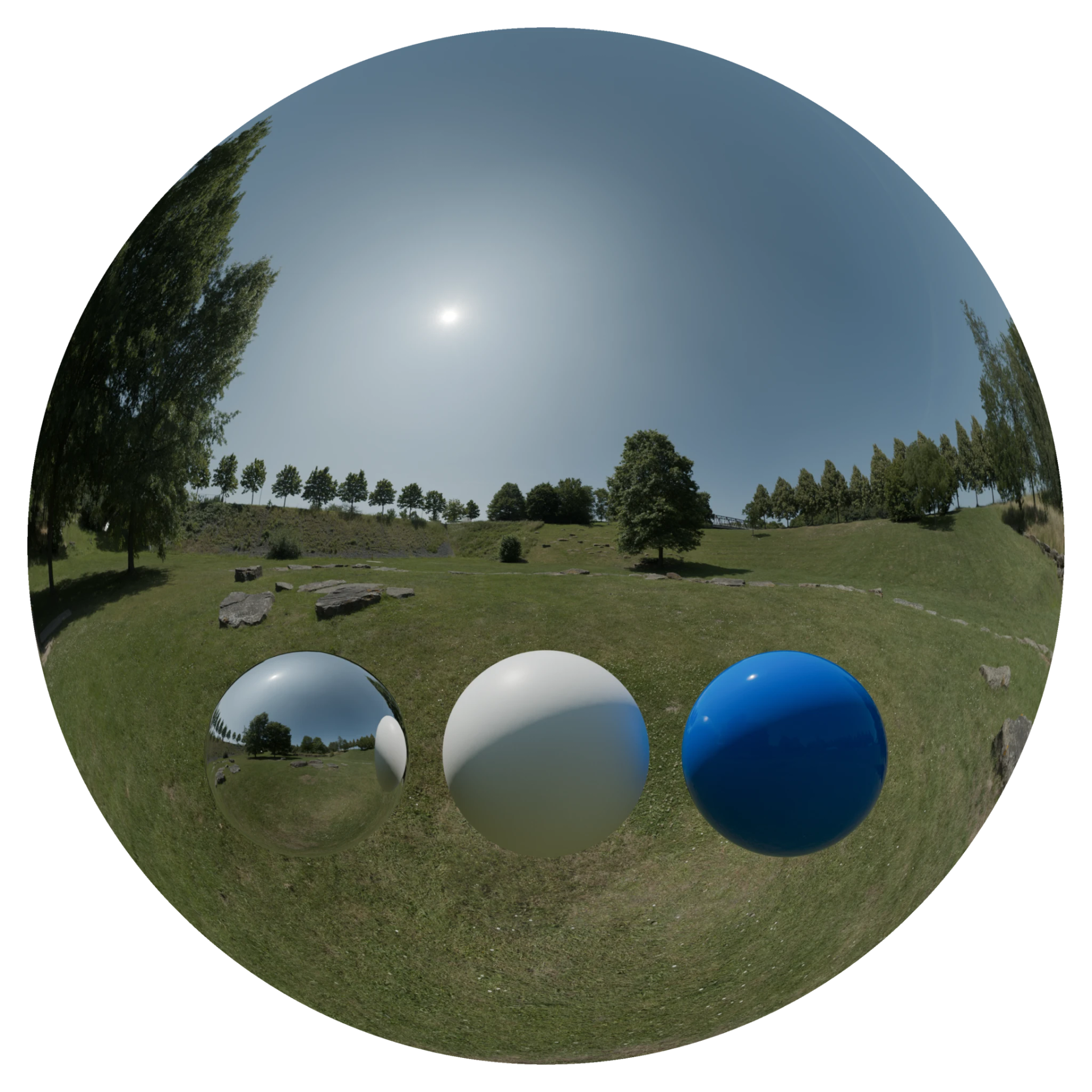 Day Environment HDRI 081