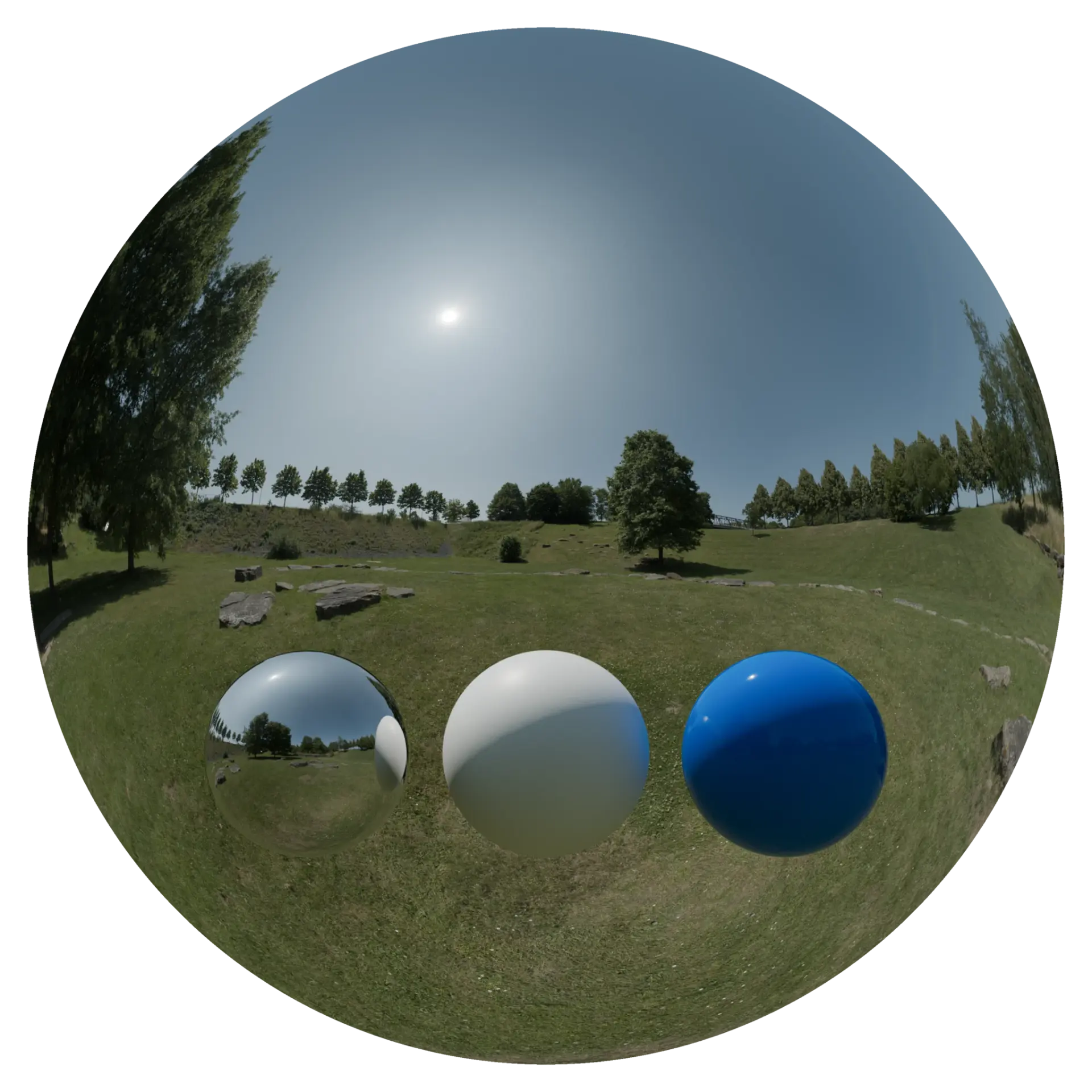 Day Environment HDRI 081