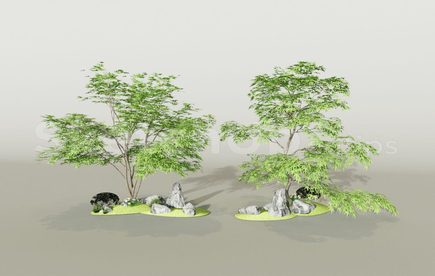 Trees