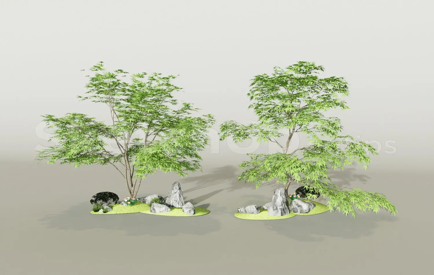 Trees — preview 1 (cgtips, CC0)