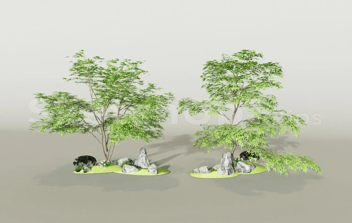 Trees