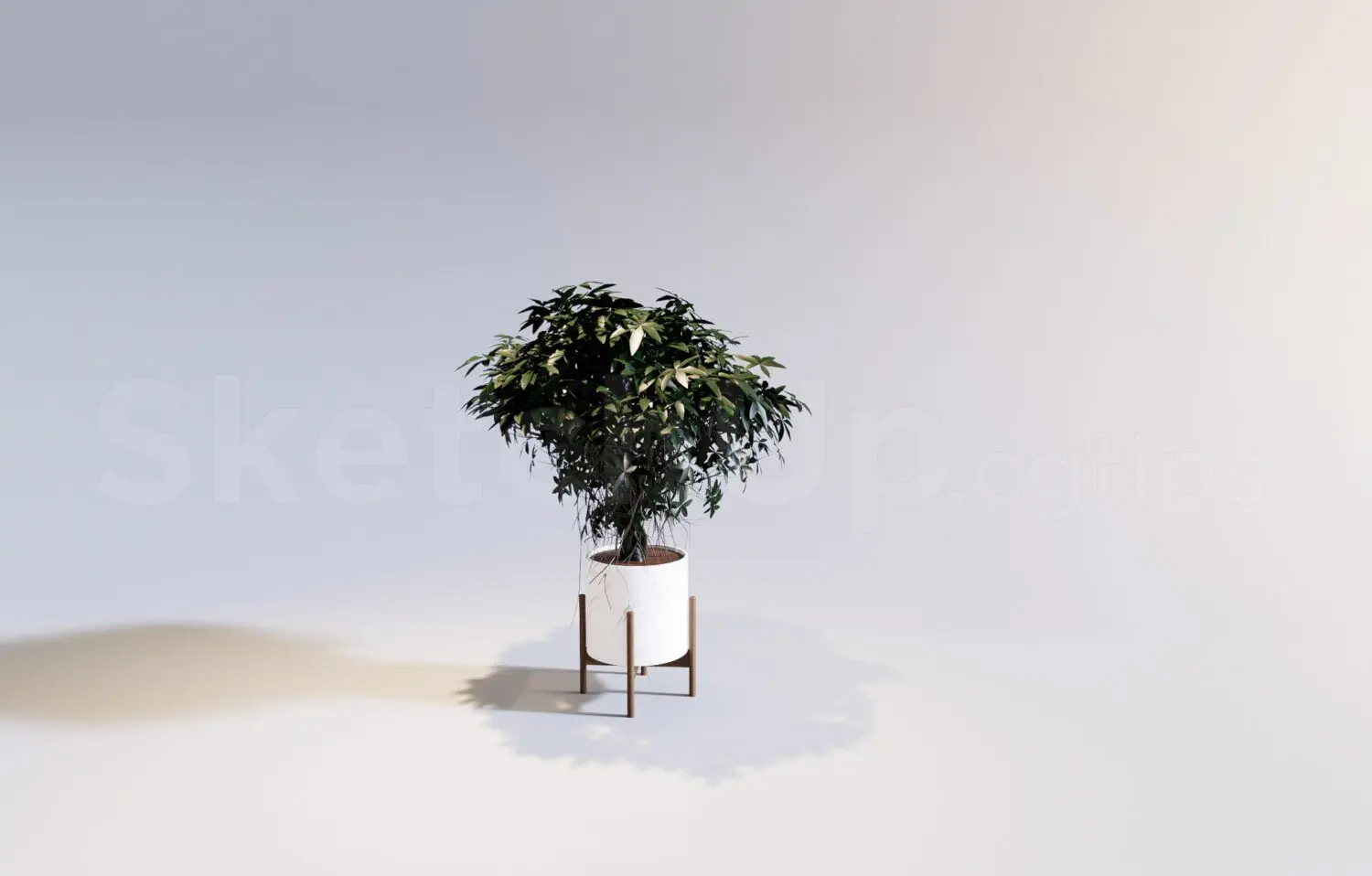Plant — preview 1 (cgtips, CC0)