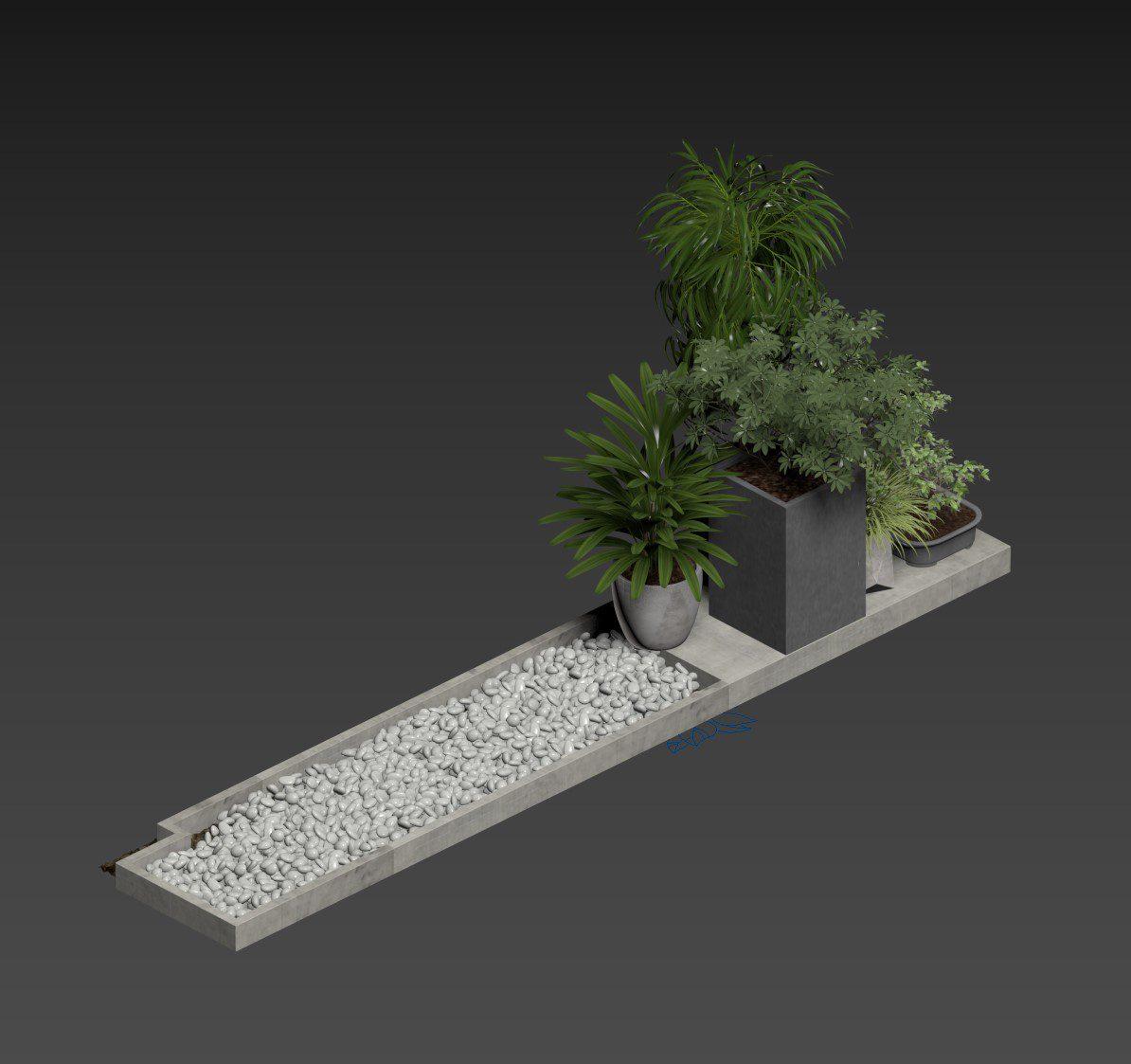 Plant