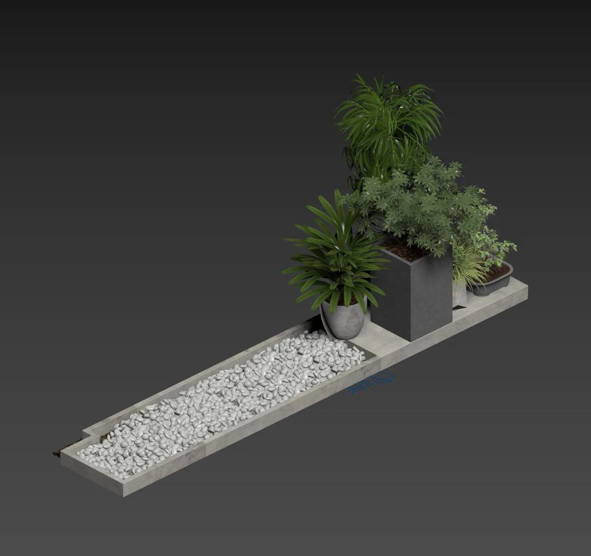 Plant