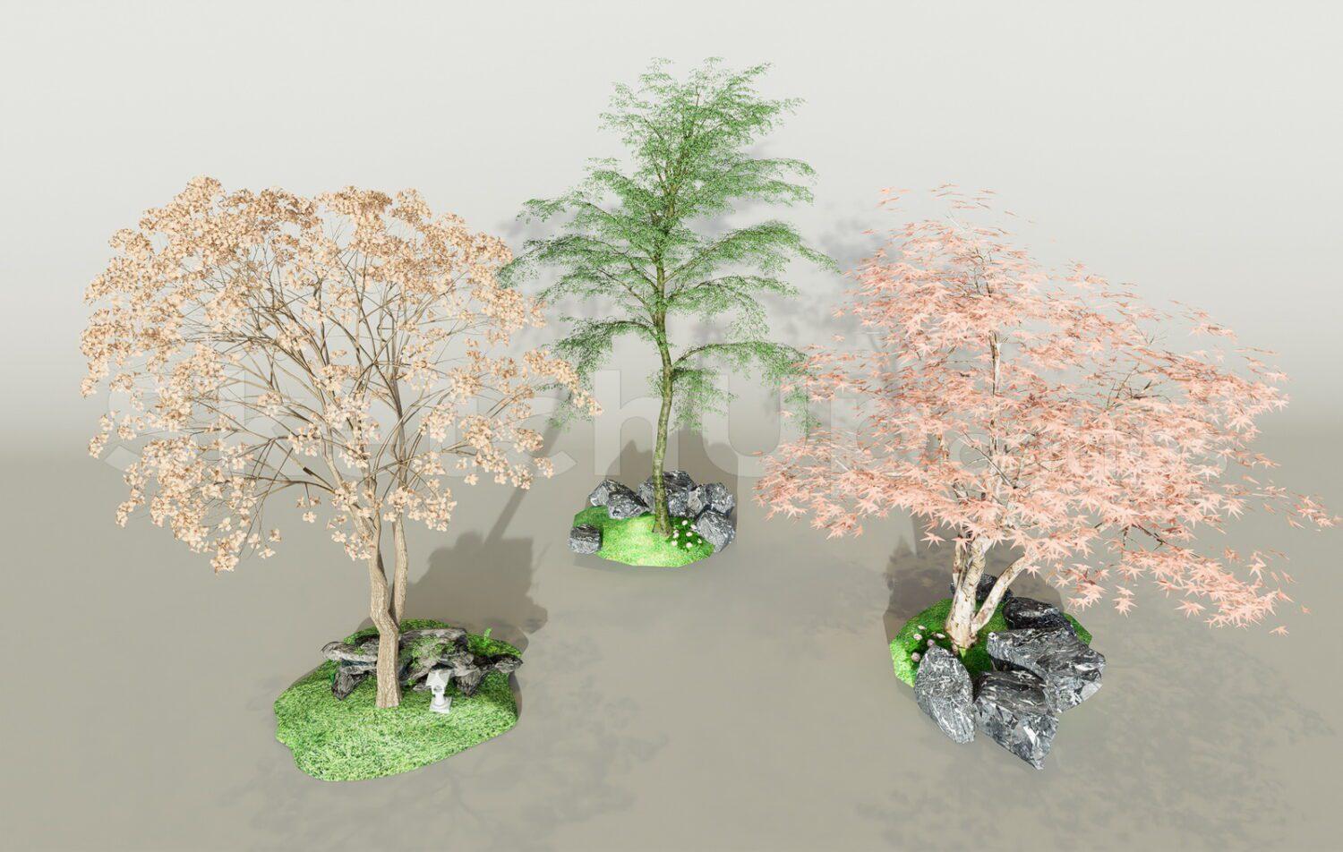 Trees