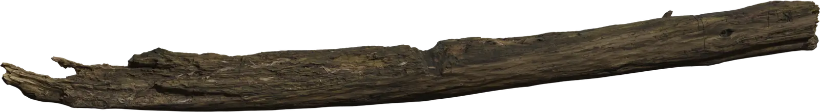 Weathered Natural Timber Dead Tree Trunk — isolated weathered timber log showing cracked bark and organic form