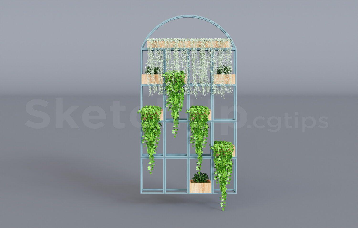Plant