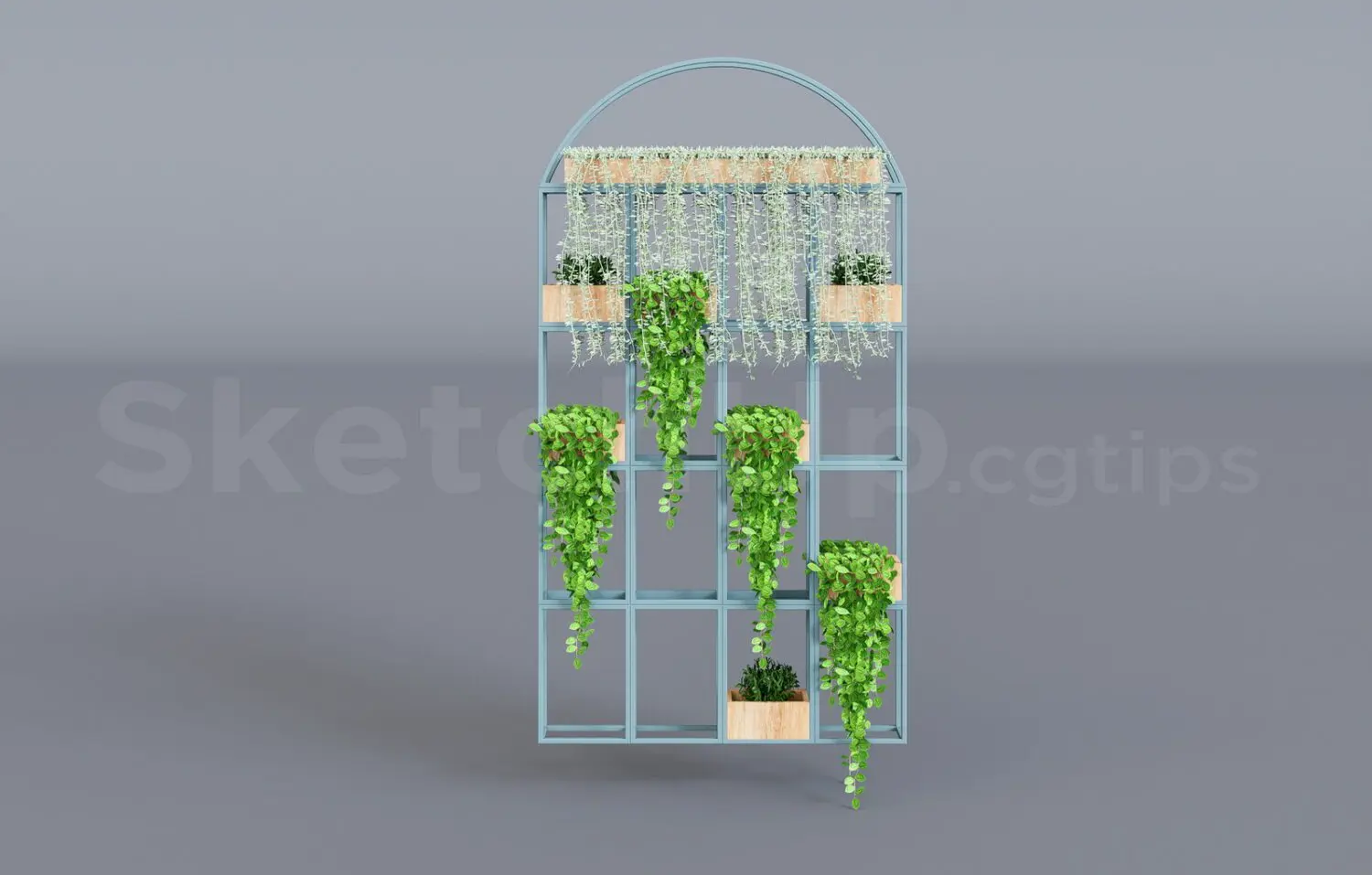 Plant