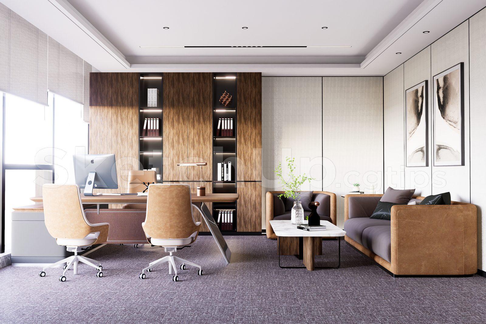 Director Office Interior