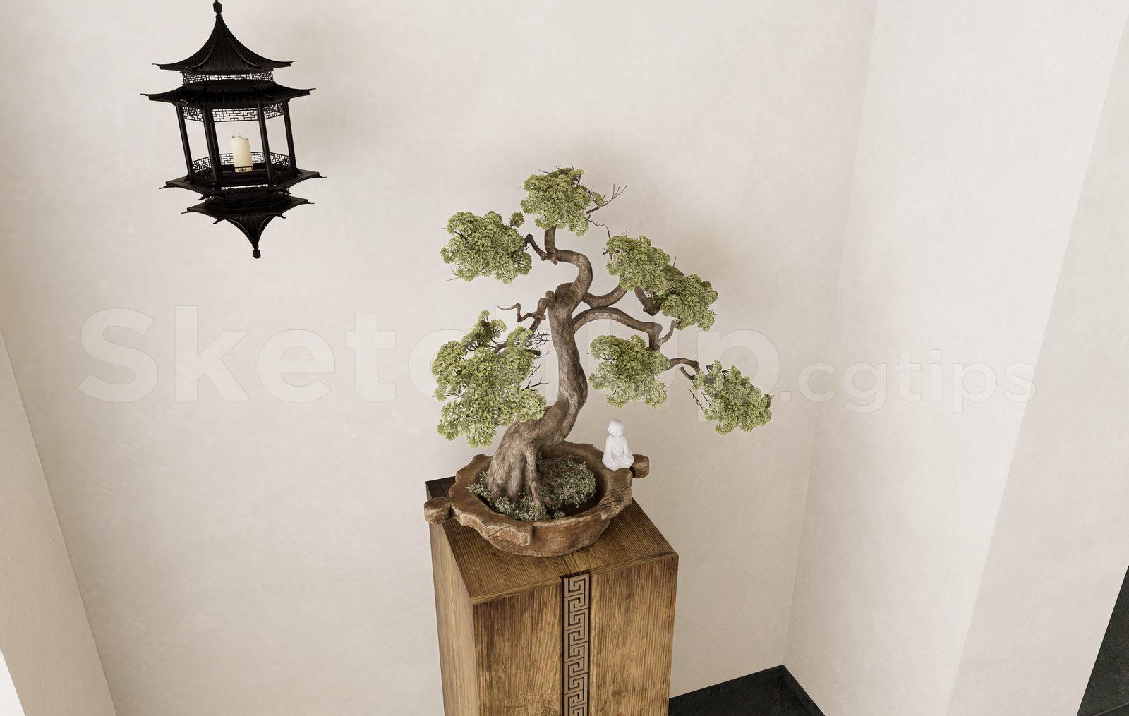 BonSai Tree