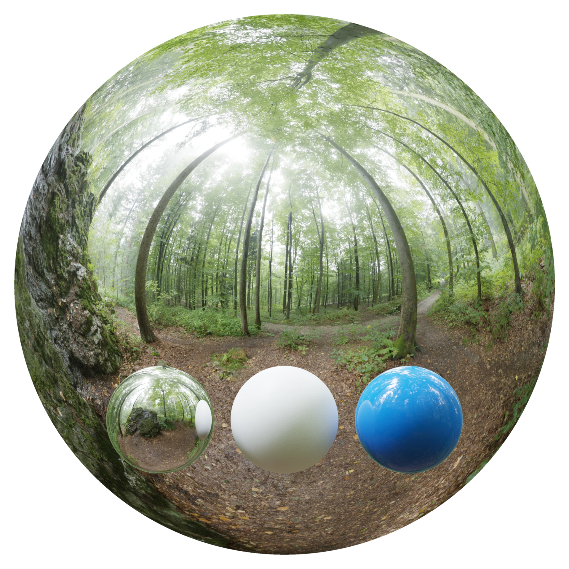 Day Environment HDRI 002