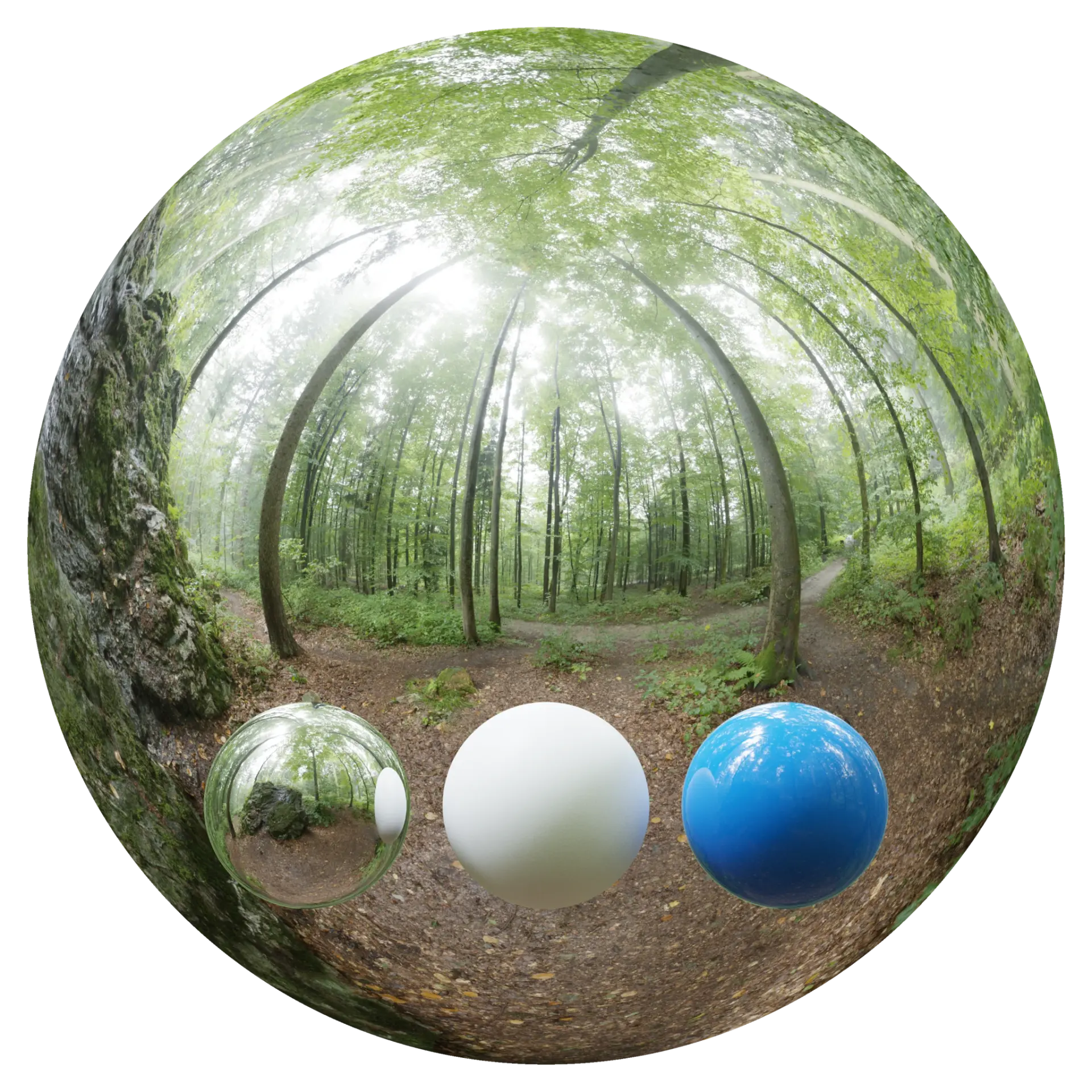 Day Environment HDRI 002