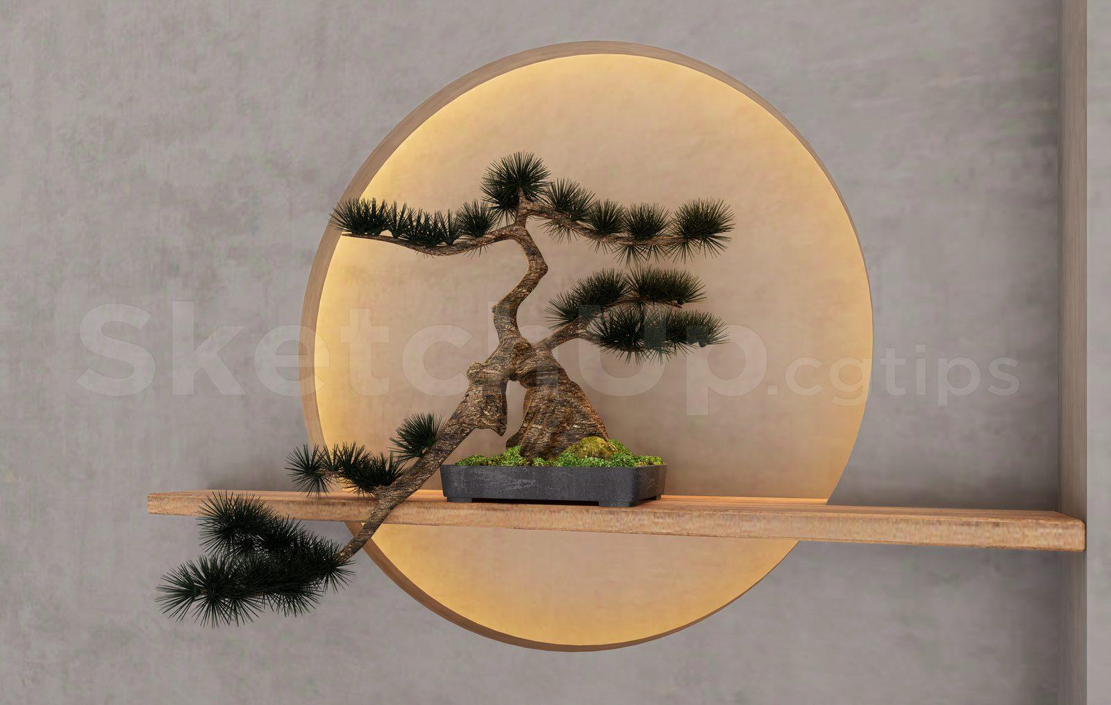 BonSai Tree