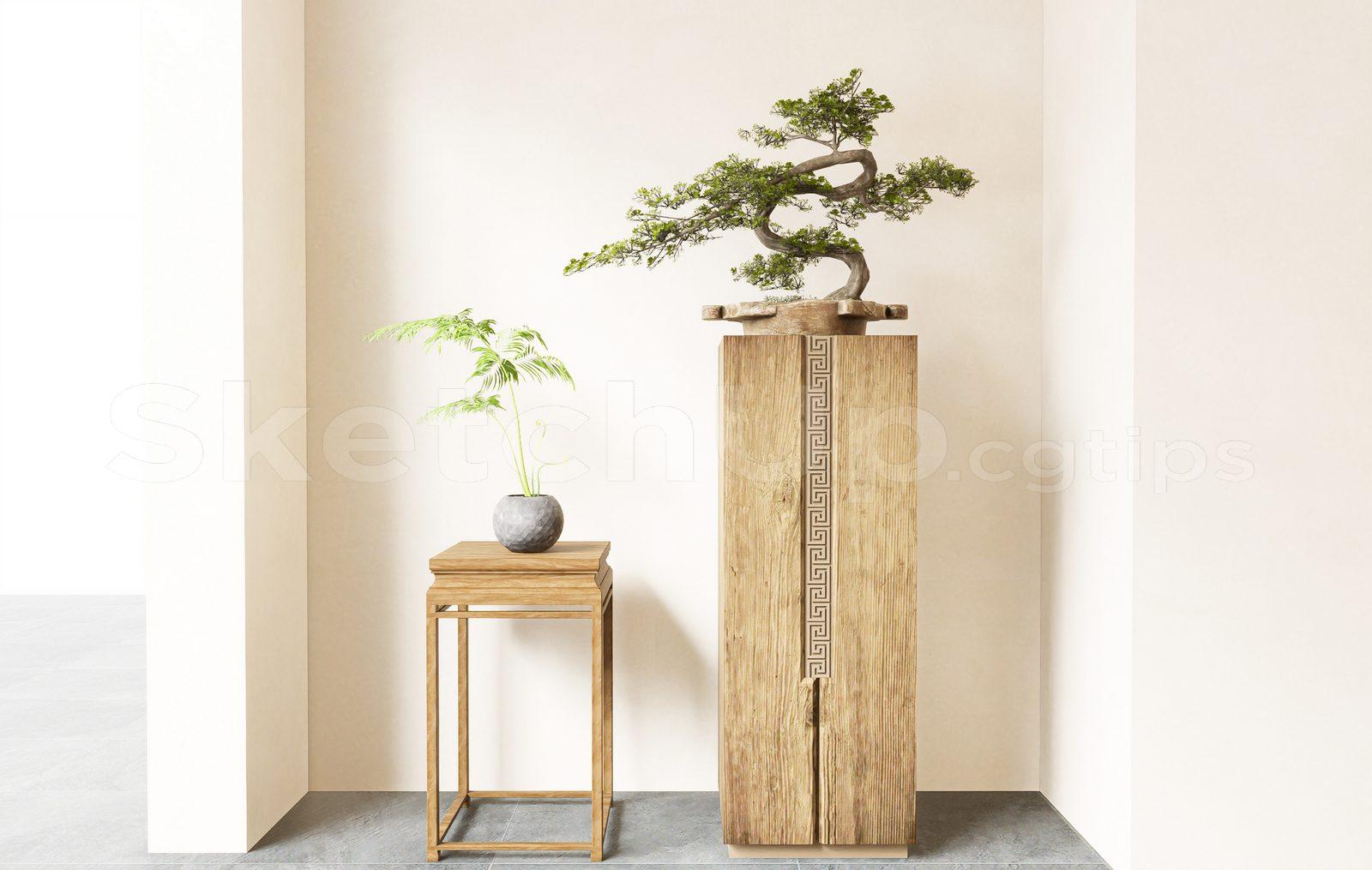 BonSai Tree