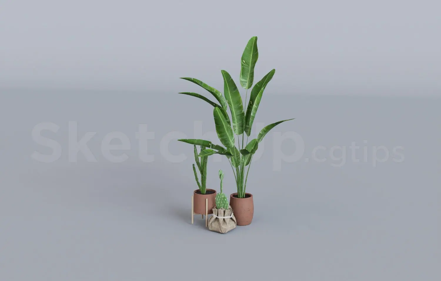 Plant — preview 1 (cgtips, CC0)