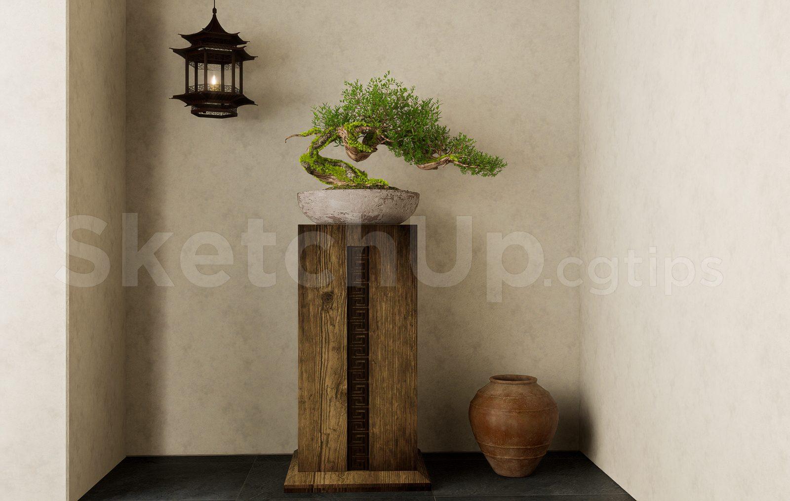 BonSai Tree