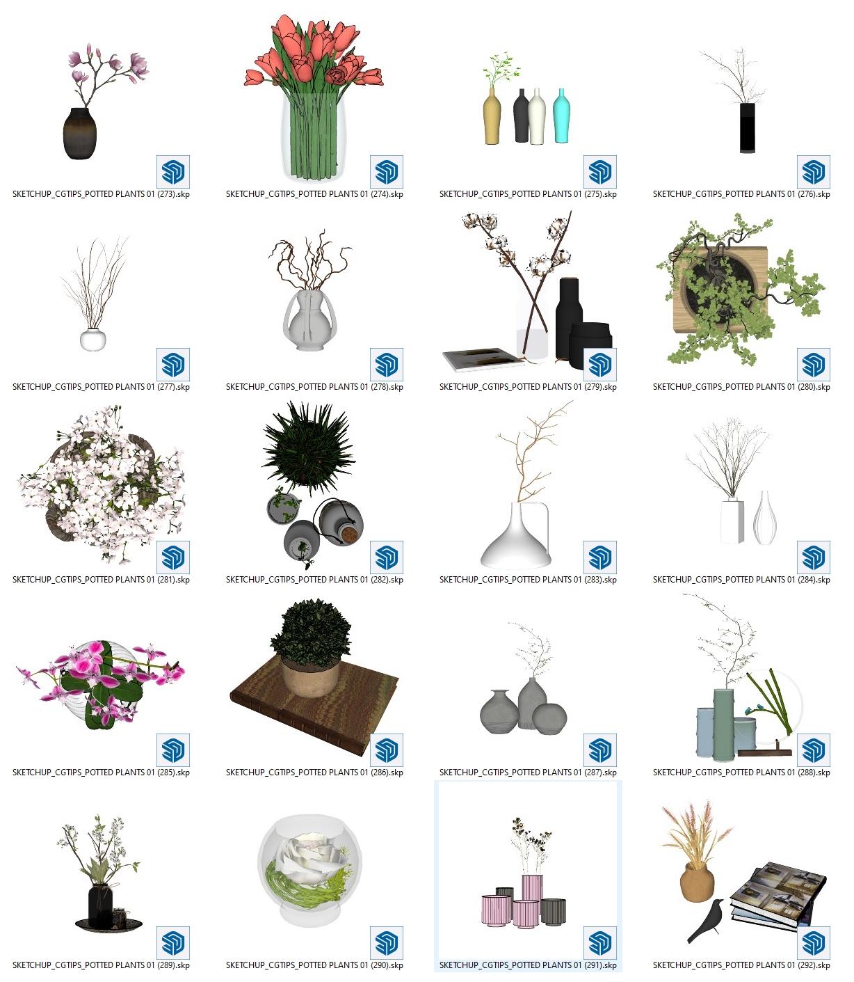 Potted Plants