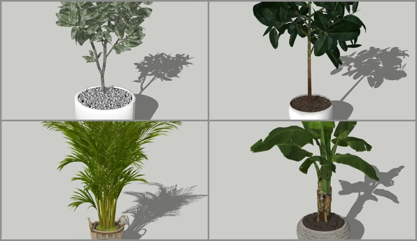 Plant — preview 1 (cgtips)