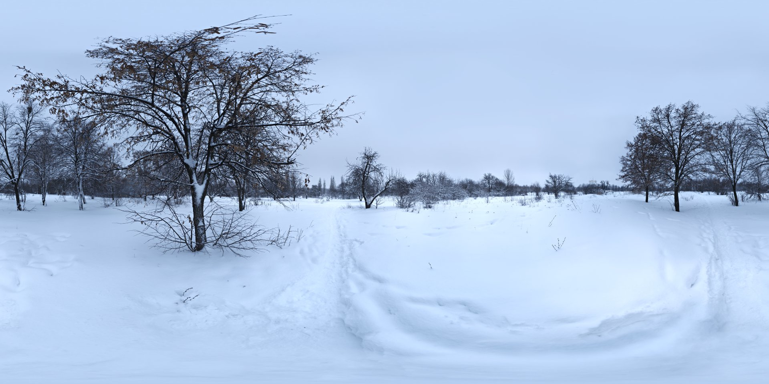 Snowy Park 1