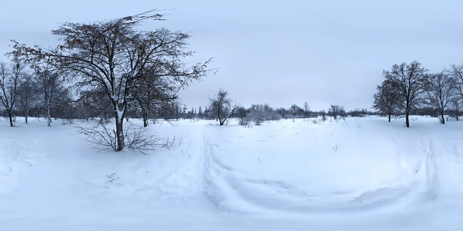 Snowy Park 1