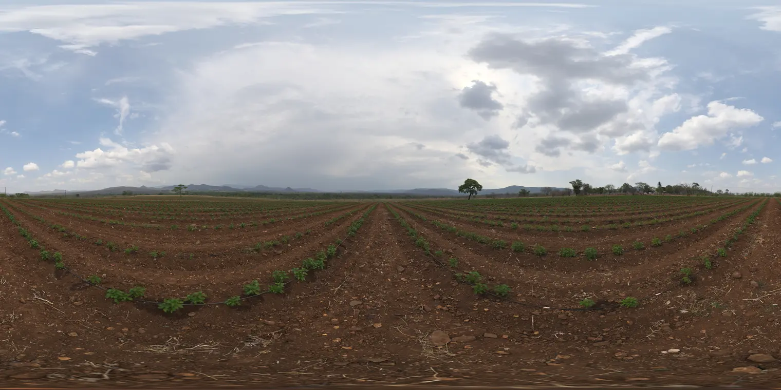 Farm Field