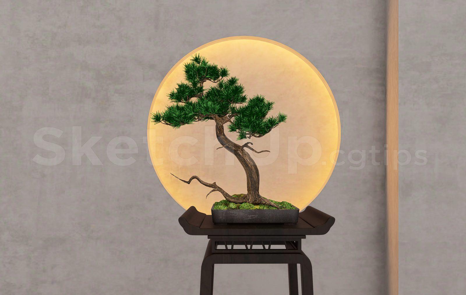 BonSai Tree