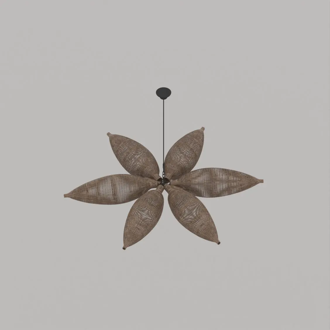 Ceiling Light