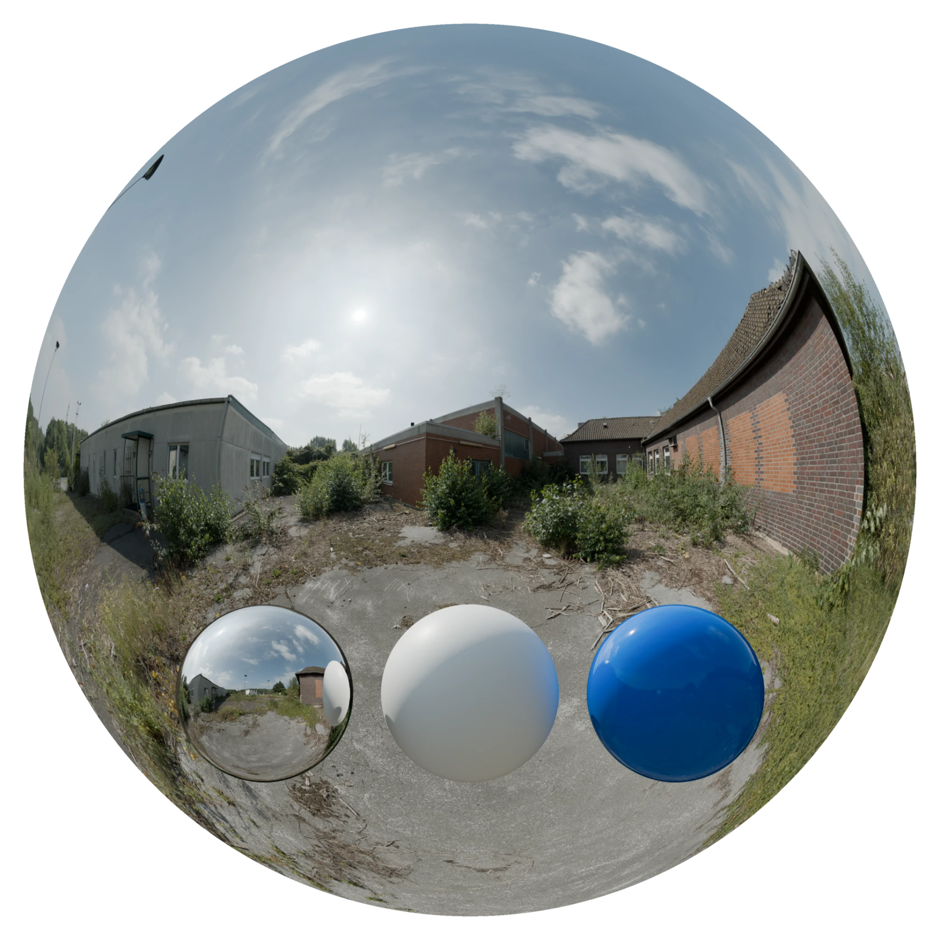 Day Environment HDRI 054