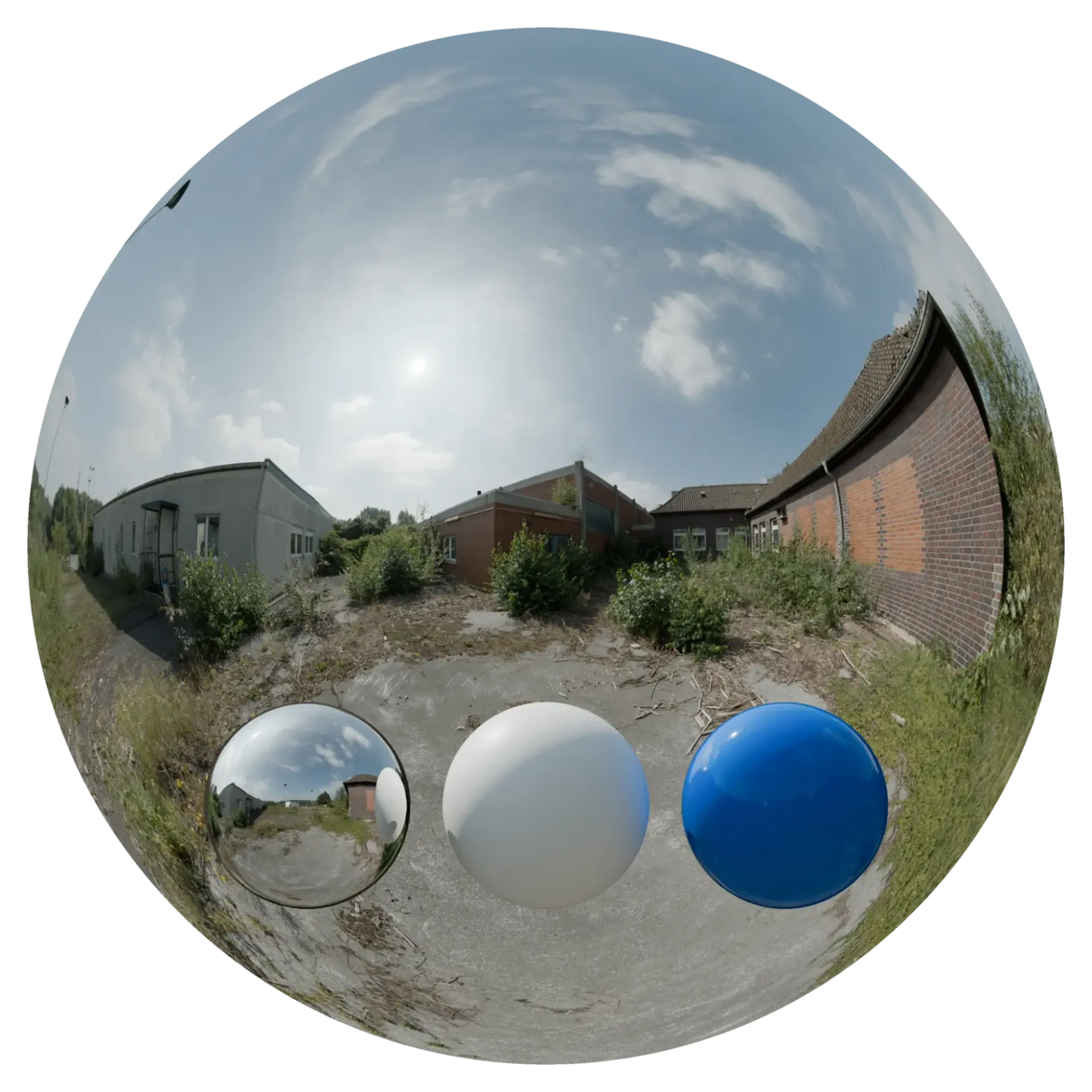 Day Environment HDRI 054