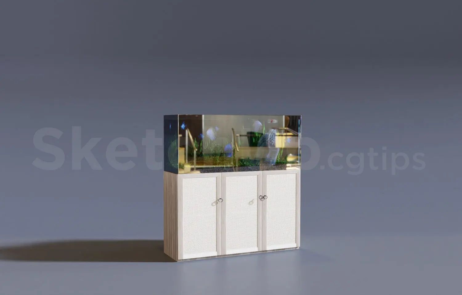 Aquarium Tank