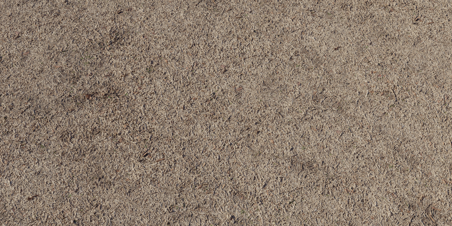 Withered Grass
