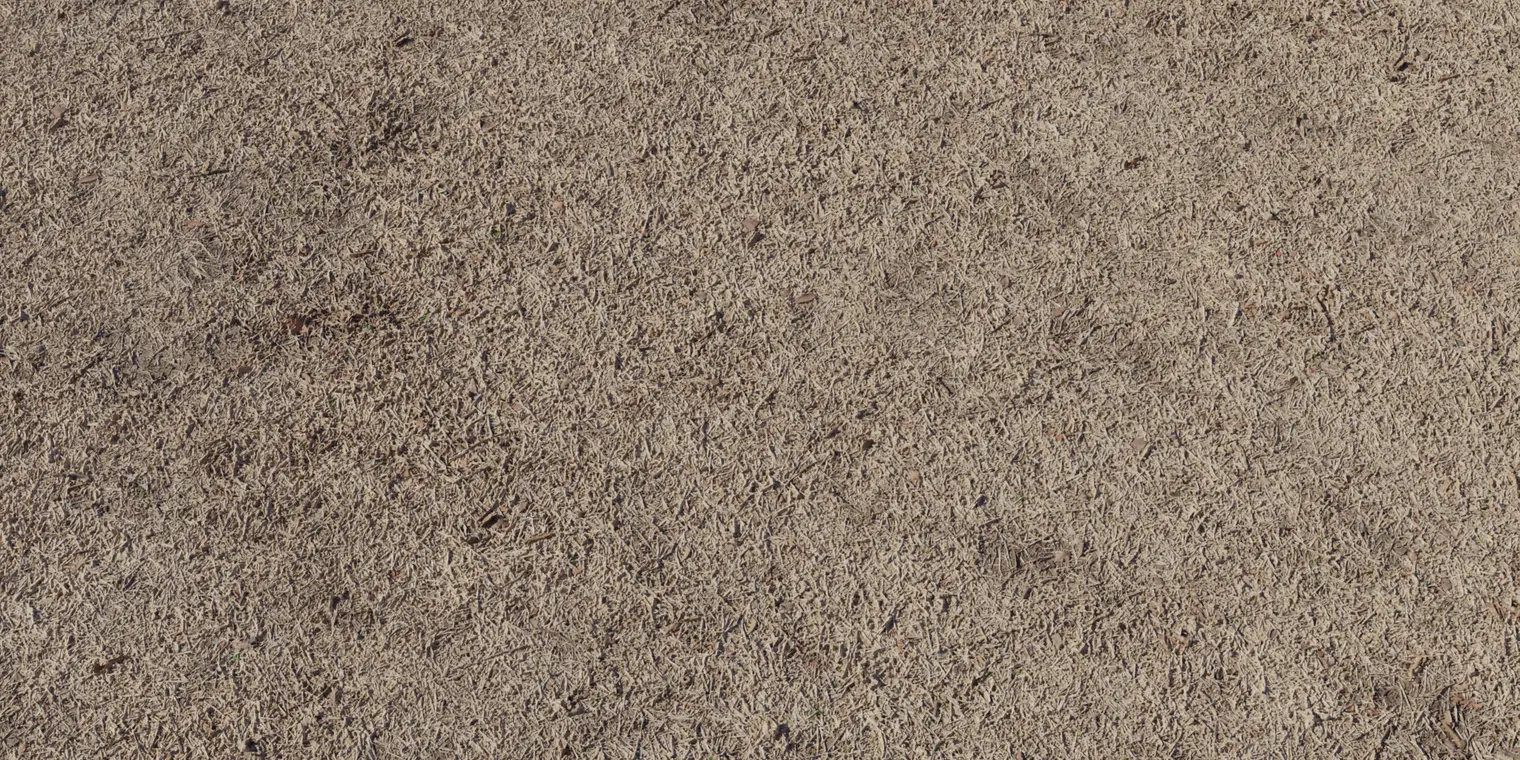 Withered Grass