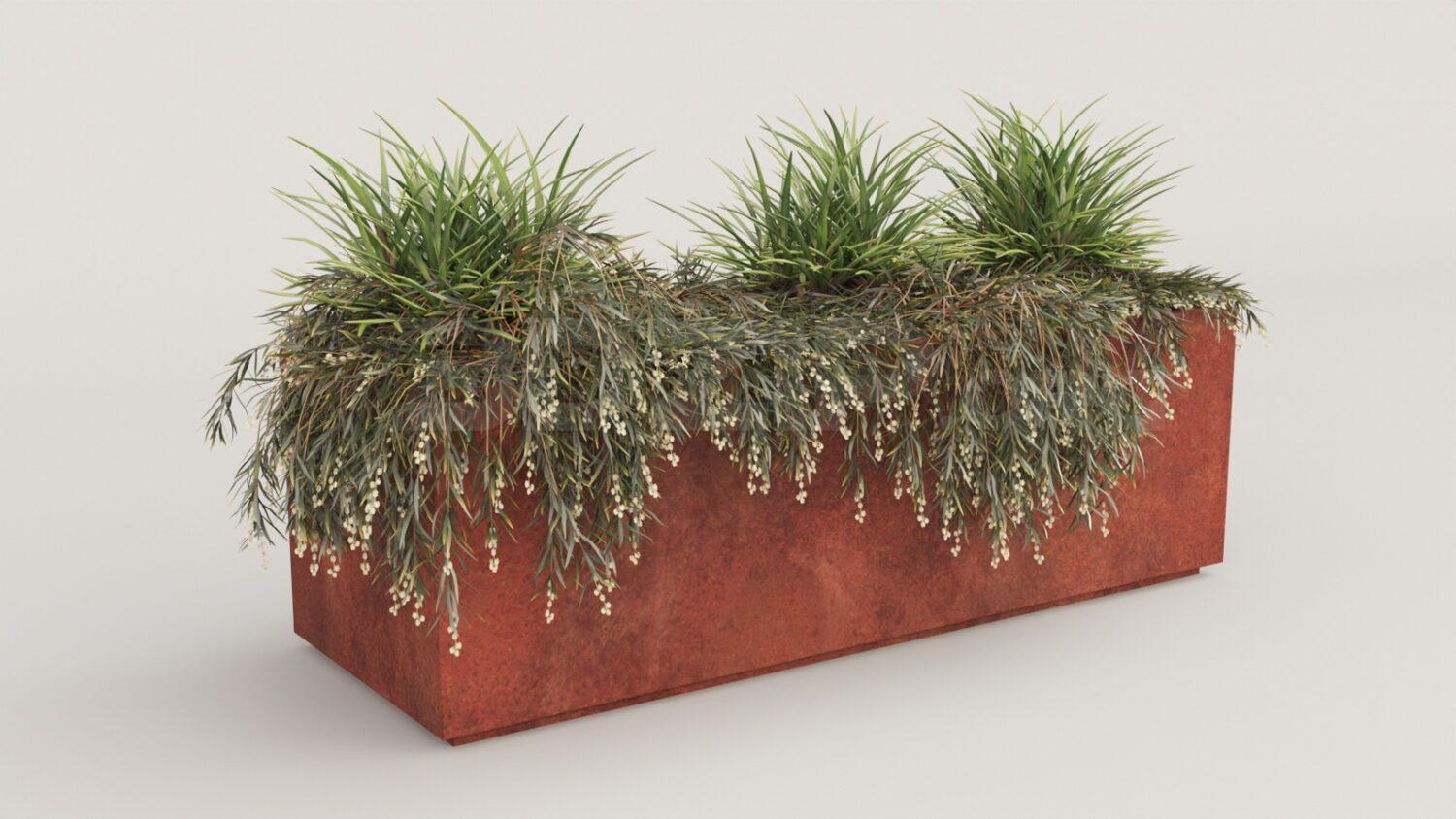 Plant
