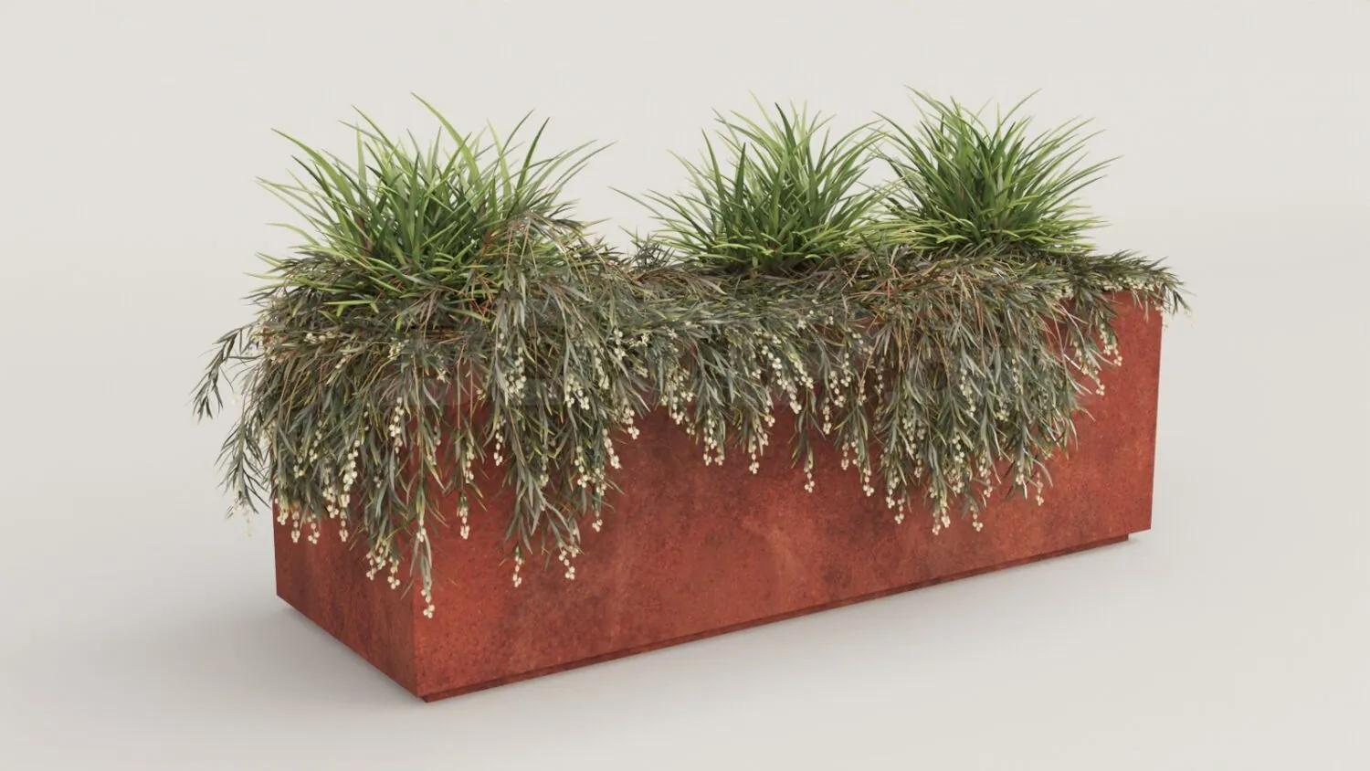 Plant