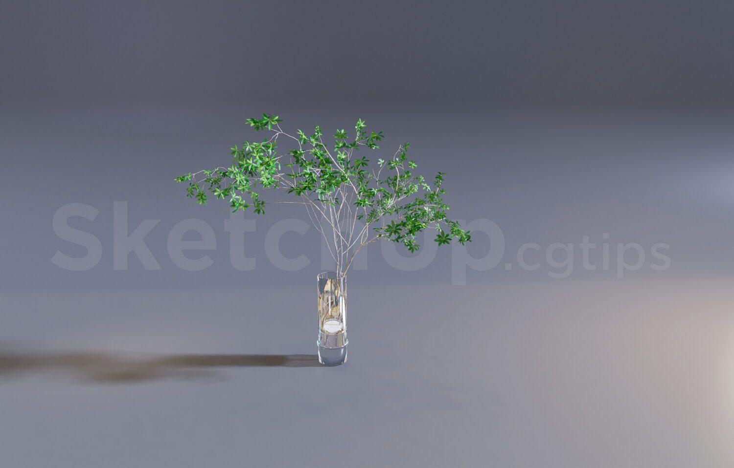 Plant