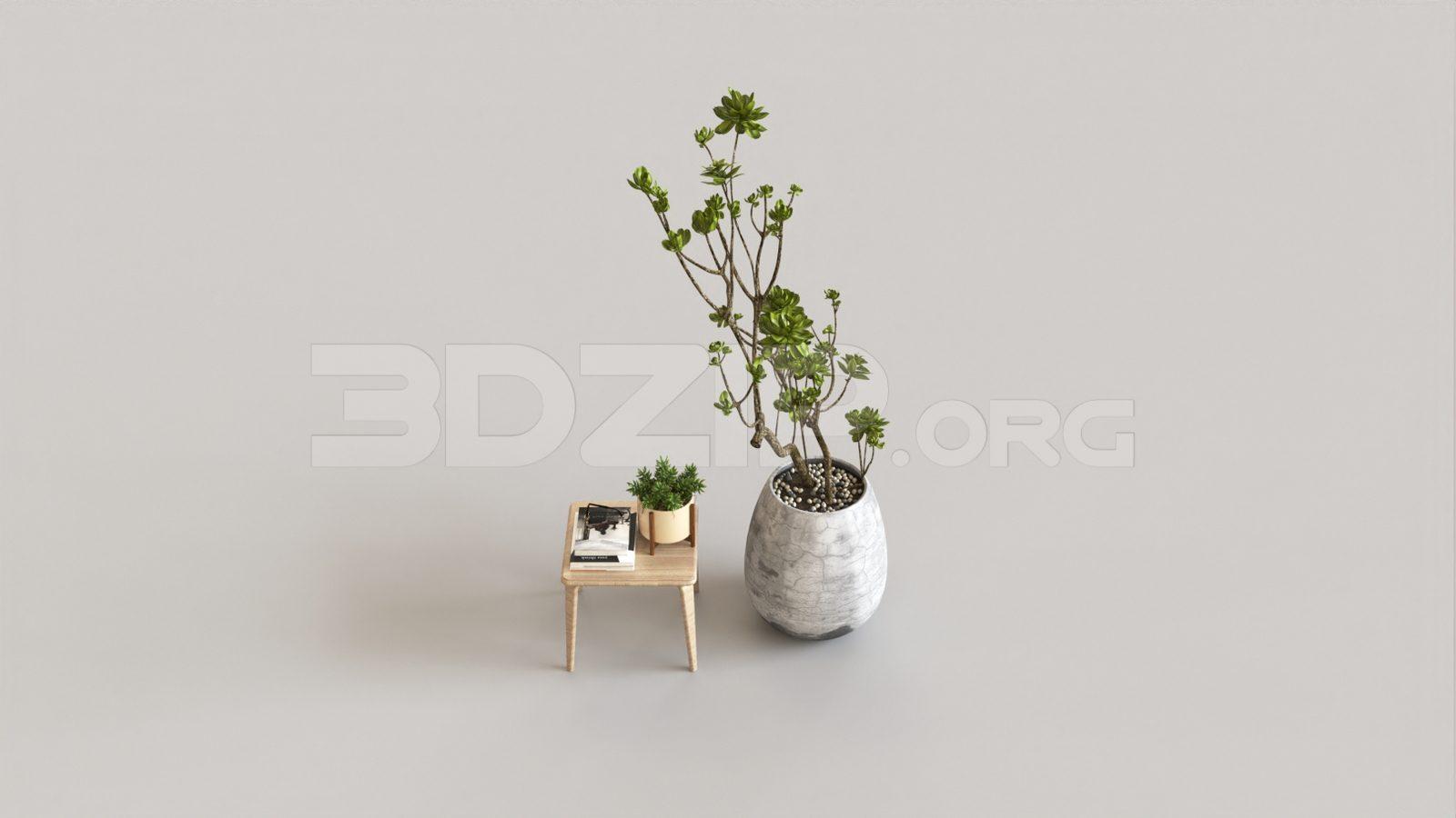 Plant