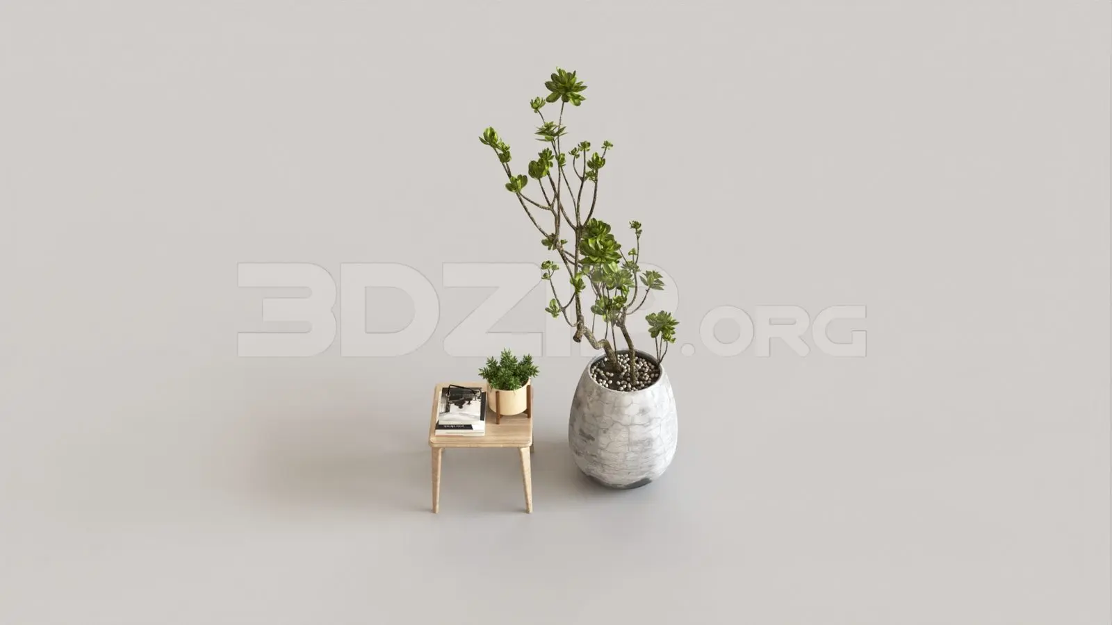 Plant